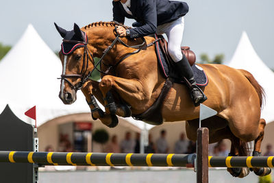 Man riding horse