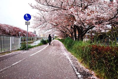 Woman walking on road with dog