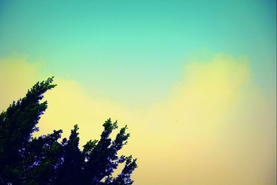 Low angle view of trees against sky