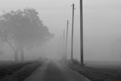 Road amidst trees against sky