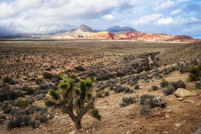 Scenic view of desert against sky