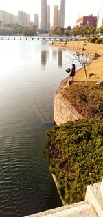 Man by lake against buildings in city