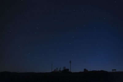 Low angle view of trees against sky at night