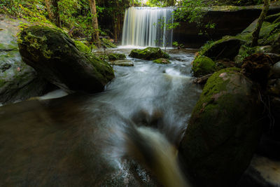 Scenic view of waterfall in forest