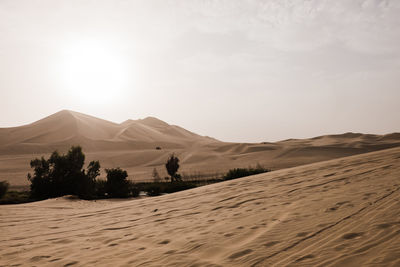 Scenic view of desert against sky