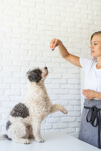 Low section of woman with dog standing against wall