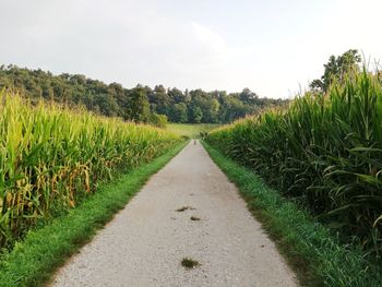 Dirt road amidst field against sky