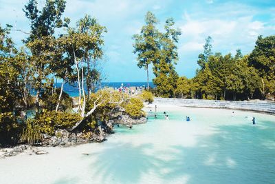 Swimming pool by trees against sky