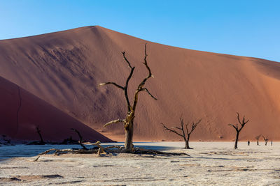 Scenic view of desert against clear sky