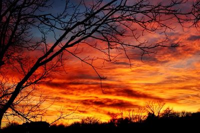 Silhouette of bare tree against dramatic sky