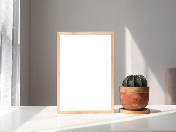 Close-up of potted plant on table