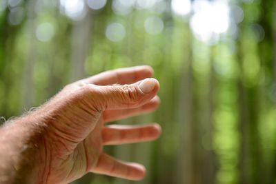 Cropped hand against trees