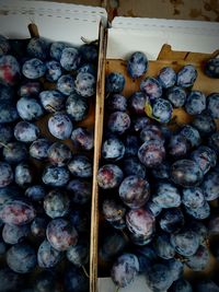 High angle view of fruits for sale at market stall