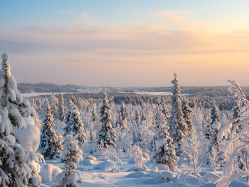 Snow covered landscape against sky during sunset