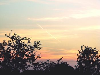 Low angle view of silhouette trees against sky at sunset