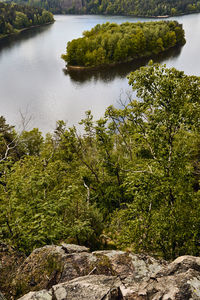 High angle view of lake in forest