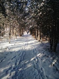 Tire tracks on snow covered landscape