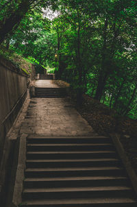 Low angle view of steps amidst trees in forest