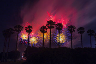 Silhouette palm trees against sky at night