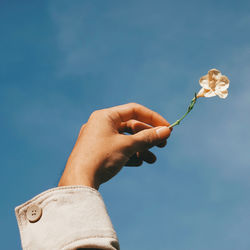 Close-up of hand holding plant against blue sky