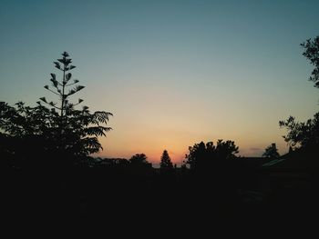 Silhouette of trees against sky at sunset