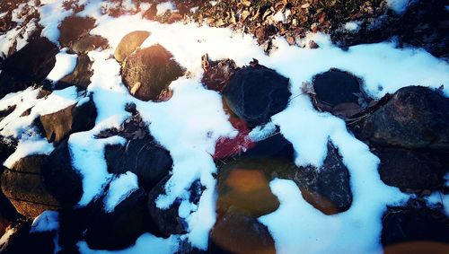 Snow covered landscape