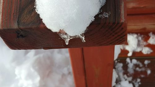 Close-up of wooden plank