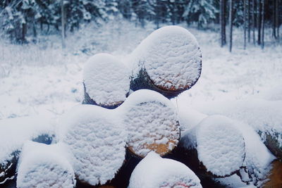 Close up of snowcapped woods