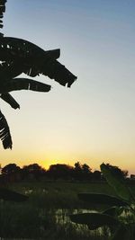 Close-up of silhouette landscape against sky during sunset