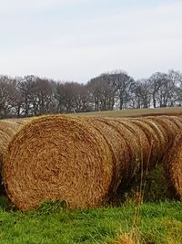 Hay bales on field against sky