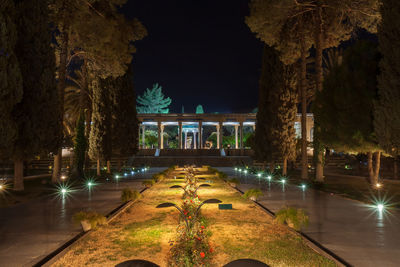 View of illuminated plants at night