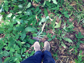 Low section of person standing on leaves on field