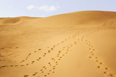 Sand dune in desert against sky