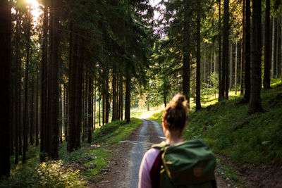 Rear view of woman in forest