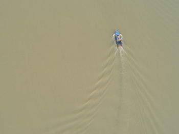 Rear view of person skiing on sand