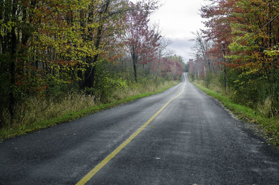 Road amidst trees in forest