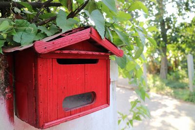 Close-up of red mailbox on tree