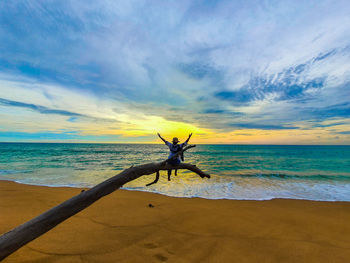 Driftwood on beach against sky during sunset