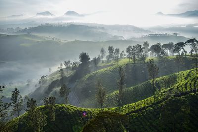 Scenic view of trees and mountains against sky