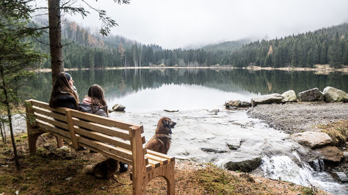 Female friends sitting on bench with dog at lakeshore in forest