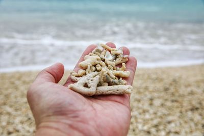 Close-up of hand holding stones at beach