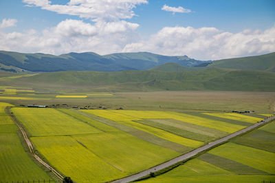 Scenic view of agricultural field against sky