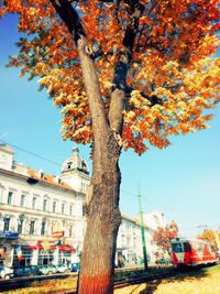 View of built structure