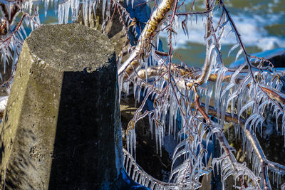 Close-up of fishing net against sky