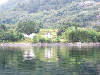 Scenic view of lake in forest