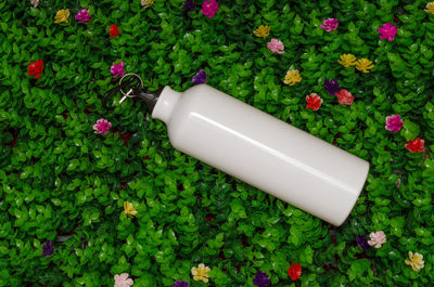 Metal water bottle on green grass