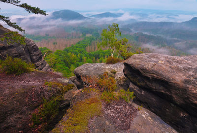 Morning after heavy rainy night. misty clouds in valley. foggy sunrise, saxon switzerland, germany.