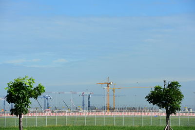 Trees and plants on field against sky