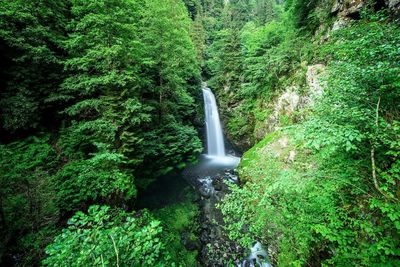 Scenic view of waterfall