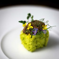 High angle view of flower in plate on table
